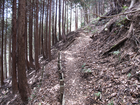 20170113hike (66)